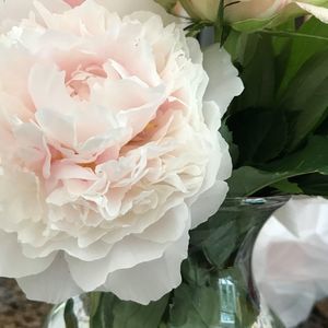 Meet your Posher, Deborah